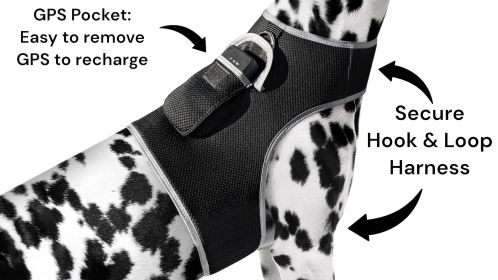 Realtime Pet Protection w/ Waterproof Dog Tracking GPS Collar Tracker Size:L